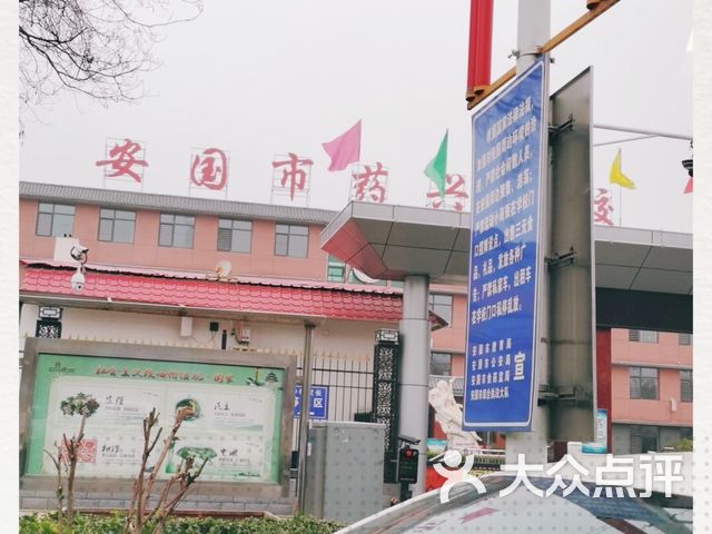 安国市实验中学