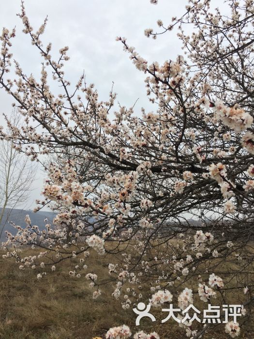 温莎堡洗浴中心-图片-庆阳休闲娱乐-大众点评网