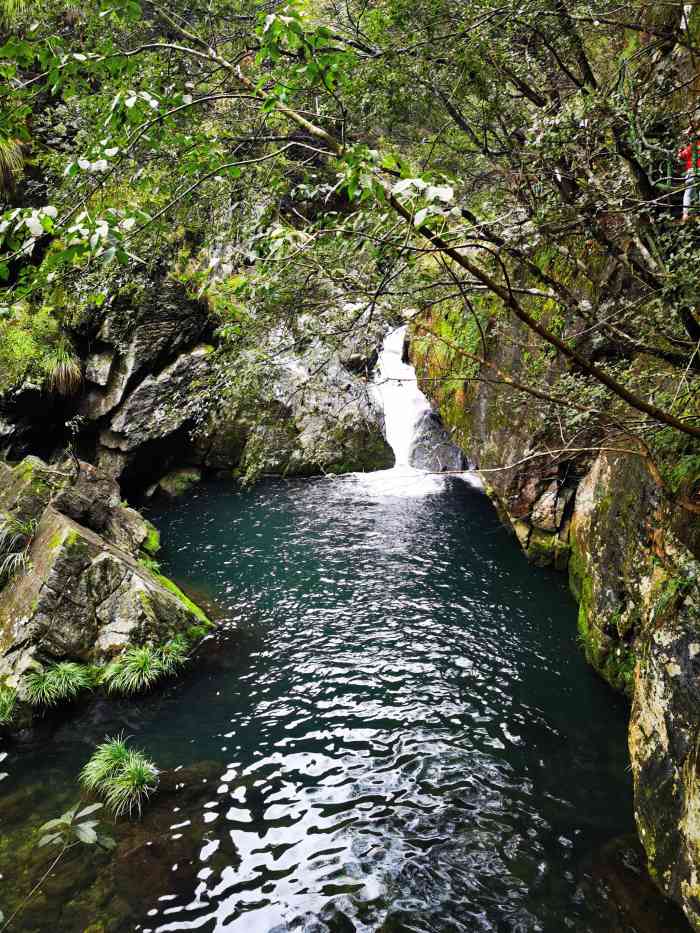 仙寓山景区-"门票50,65岁以上免费,不过要买5块钱.