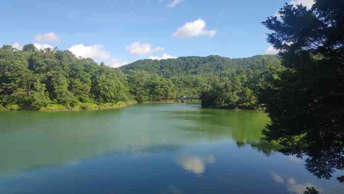 大西坑保护区-"大西坑风景区位于群星村西北部,距江门