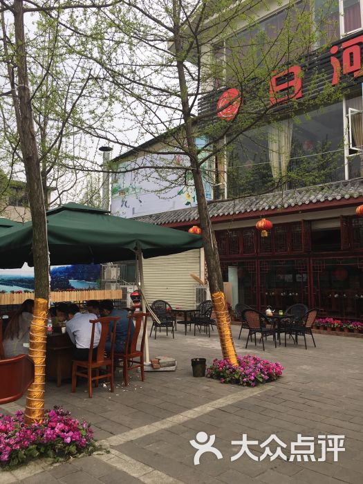 白河渔港(都江堰旗舰店)-图片-都江堰市美食