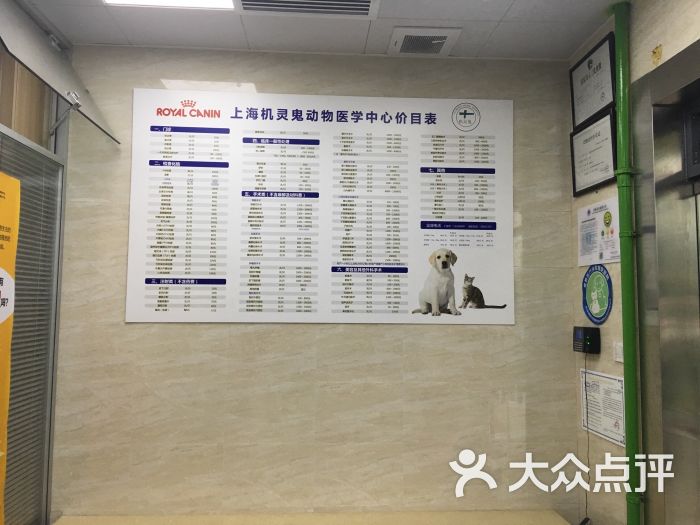 芭比堂动物医院(上海机灵鬼分院)图片 第320张