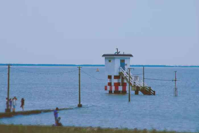 横沙岛-"上海宝藏小岛 集大海 灯塔 丁坝 林."-大众