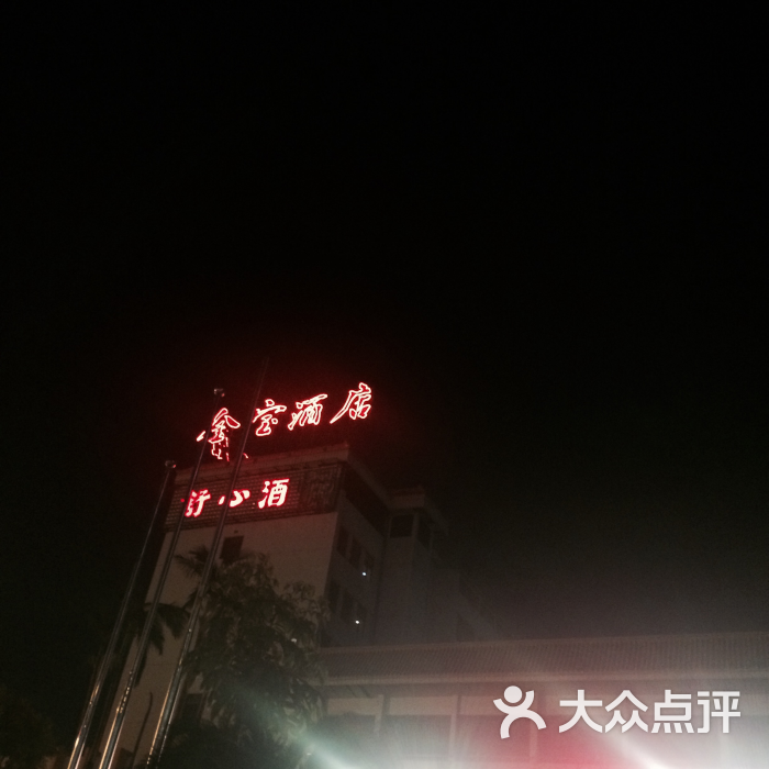 金宝大酒店图片 - 第6张