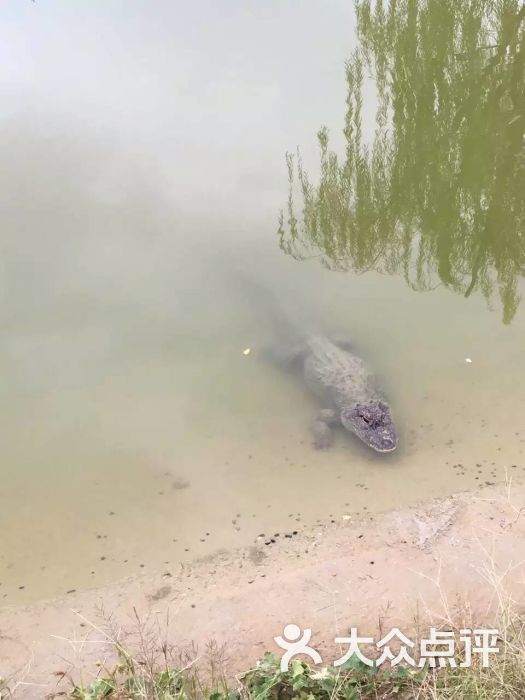 固城湖水慢城-图片-南京周边游-大众点评网