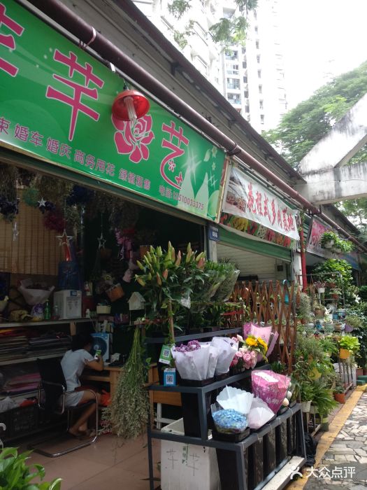 花卉鱼鸟市场-图片-深圳购物-大众点评网