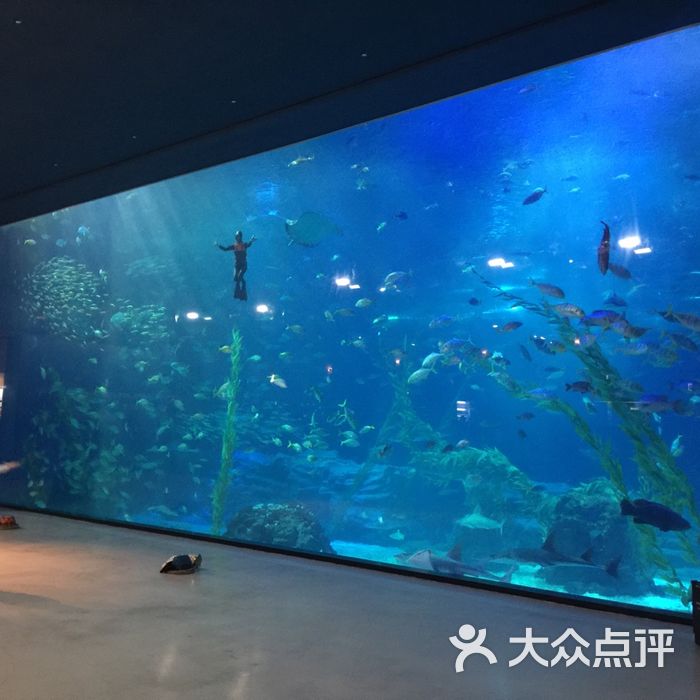 济州岛水上星球水族馆