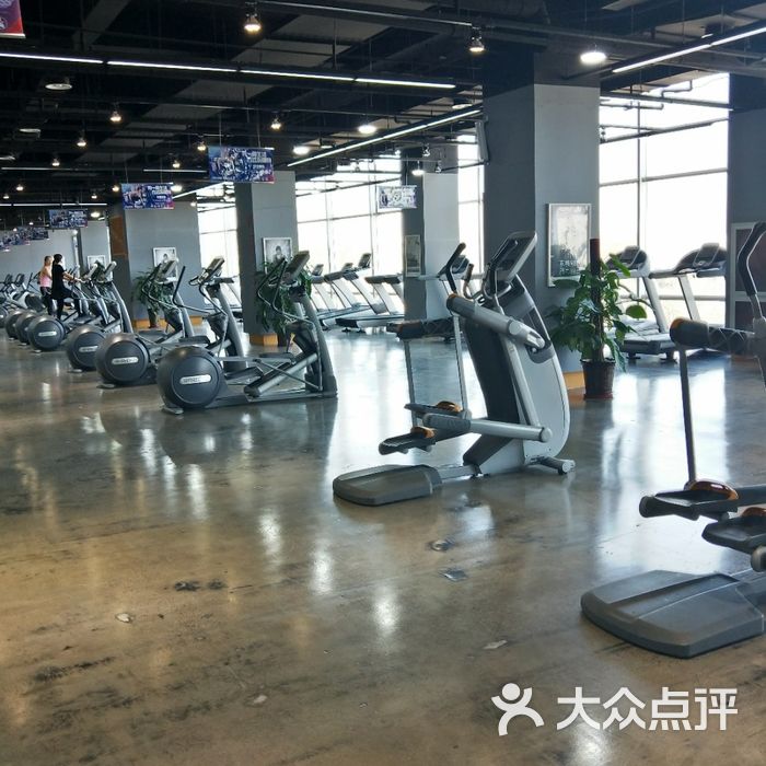 都铎健身