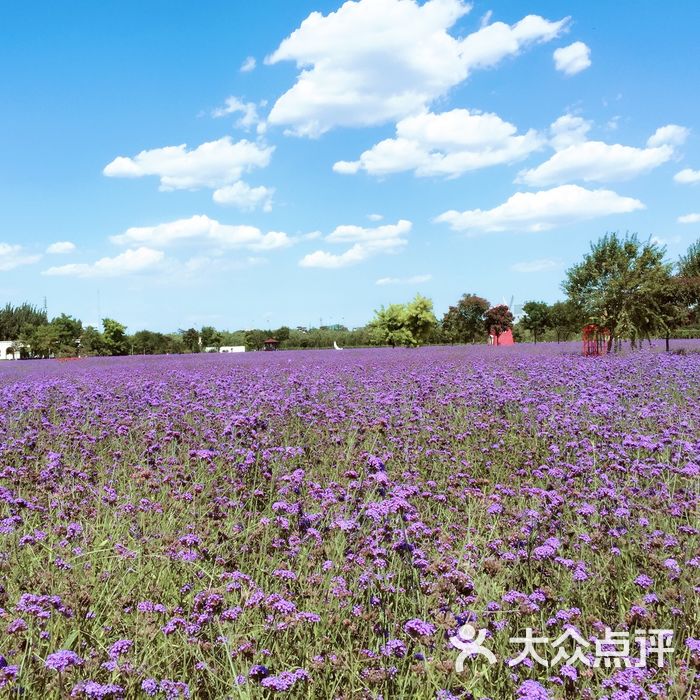 首农·紫谷伊甸园