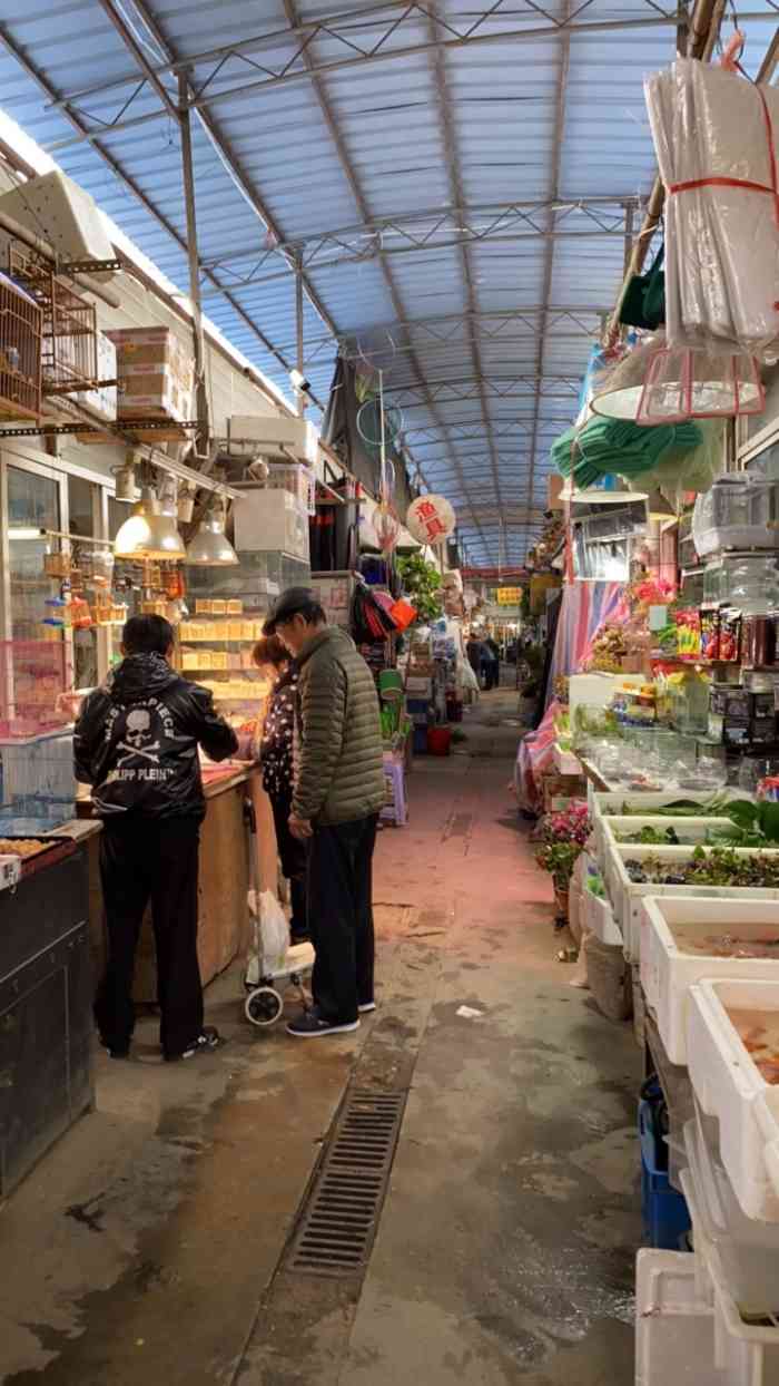 万商花鸟市场(西藏南路店)-"路过西藏南路花鸟市场,在