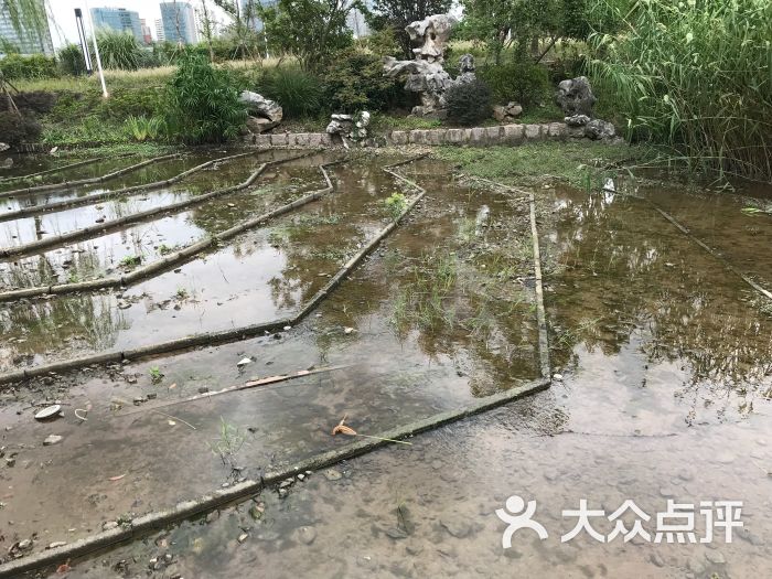 梯地禾田