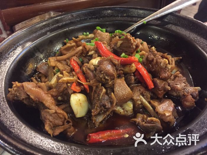 洞庭湖谷鸭