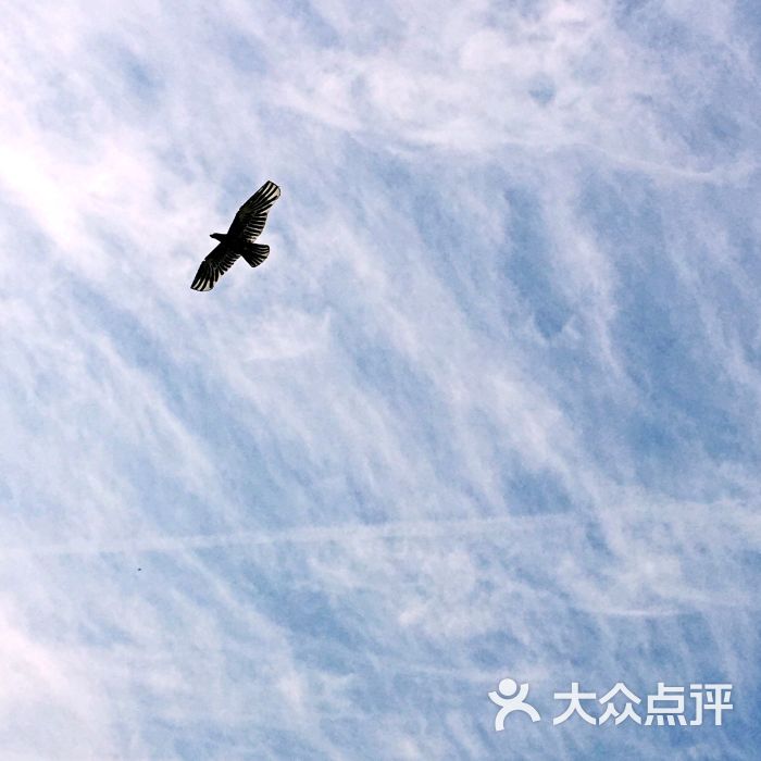 云淡风轻luck上传的图片