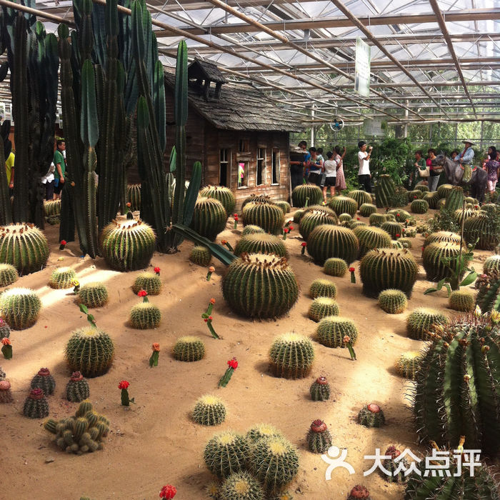 长春农业博览园