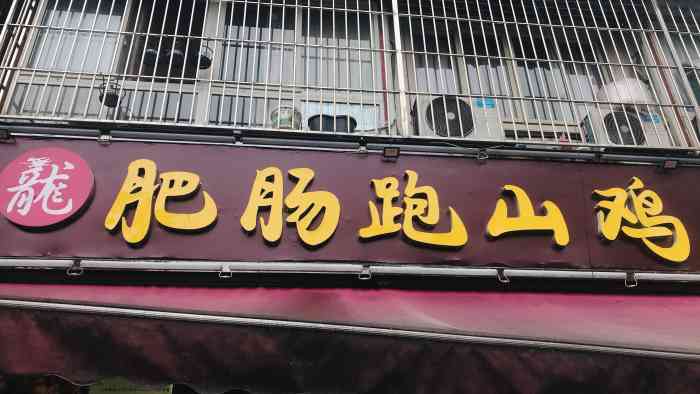 龙哥肥肠跑山鸡(新泉路店)