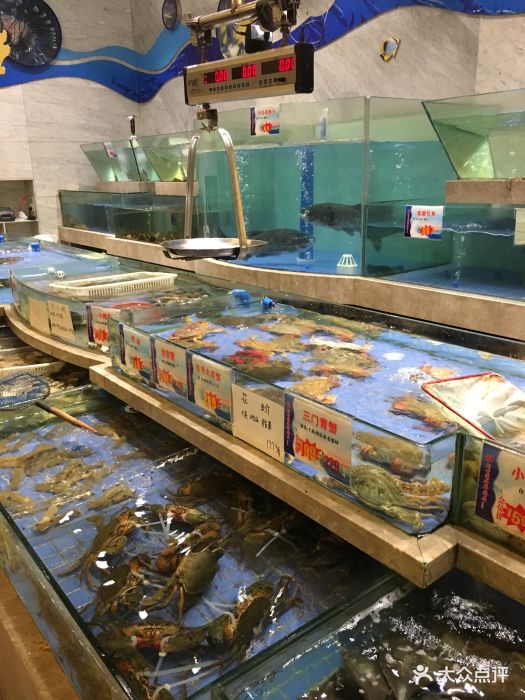 东山海鲜楼(新田园海鲜酒店)图片 - 第69张