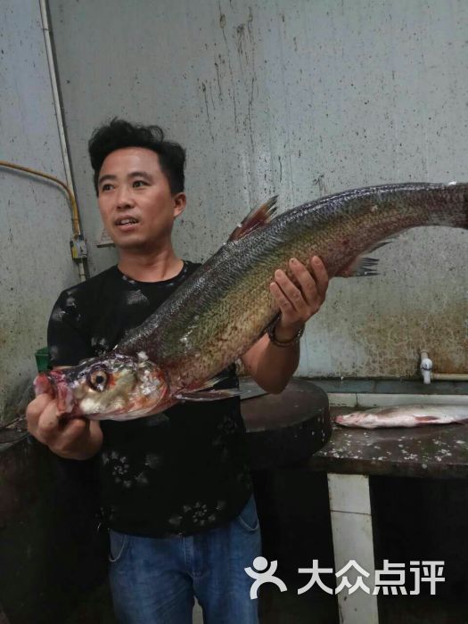 黑龙滩大翘壳