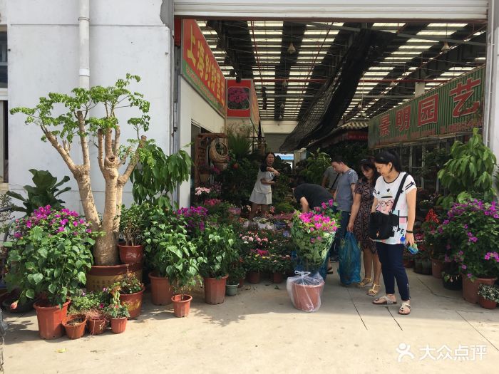 龙大花卉苗木市场图片 - 第14张
