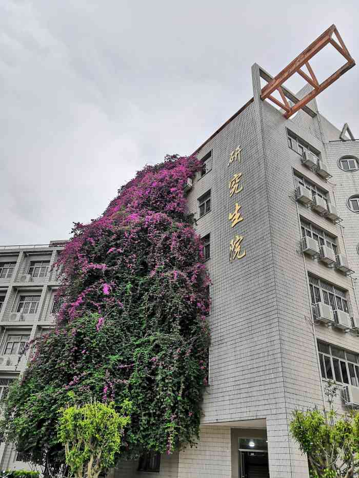 广西大学新东园(秀园校区)-"98寒冬不过南国,碧云没
