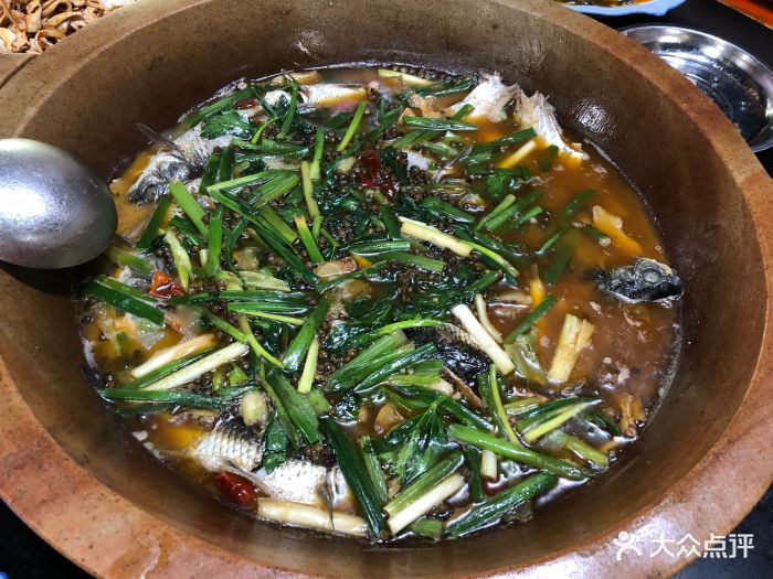 石锅土鲫鱼图片 第82张