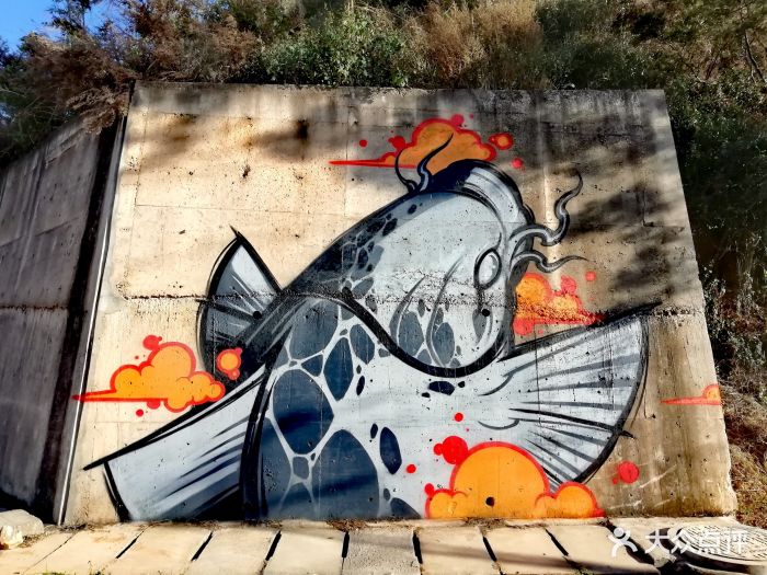 2019大云南等着我,不见不散,善待自己对自.-