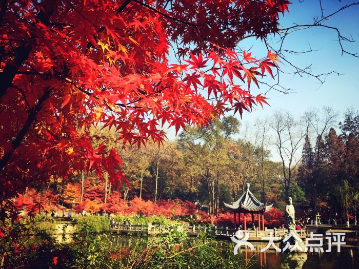 栖霞山名胜风景区-图片-南京周边游-大众点评网