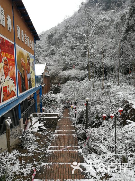 雾山农场-图片-大邑县美食-大众点评网