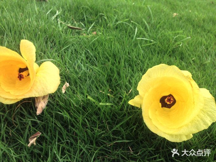 厦门是个出名的沿海旅游城市,我们有幸趁着.