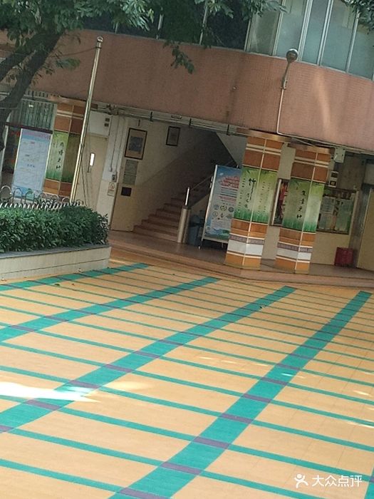 环市西路小学图片 - 第2张