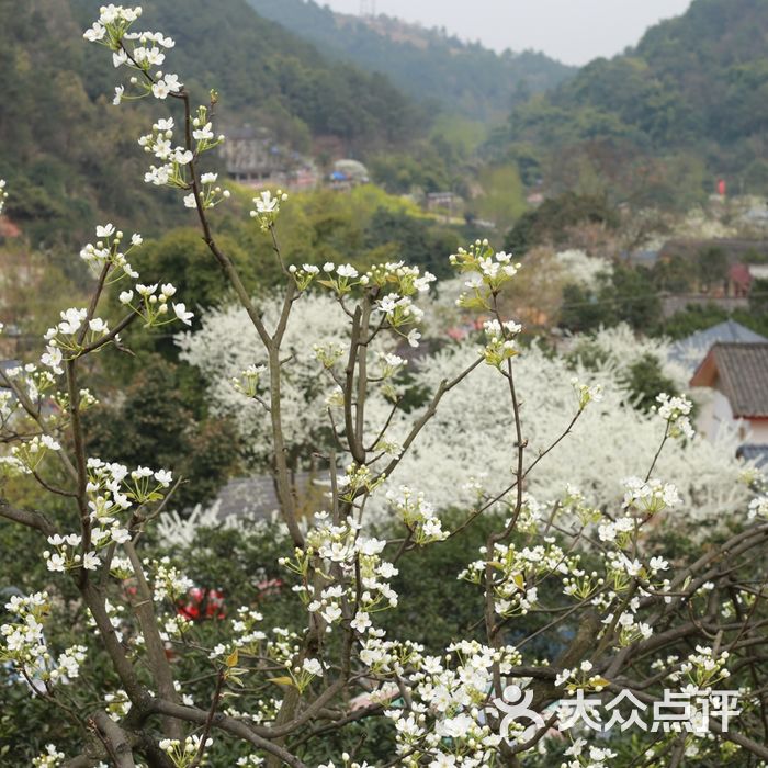 梨花溪风景区