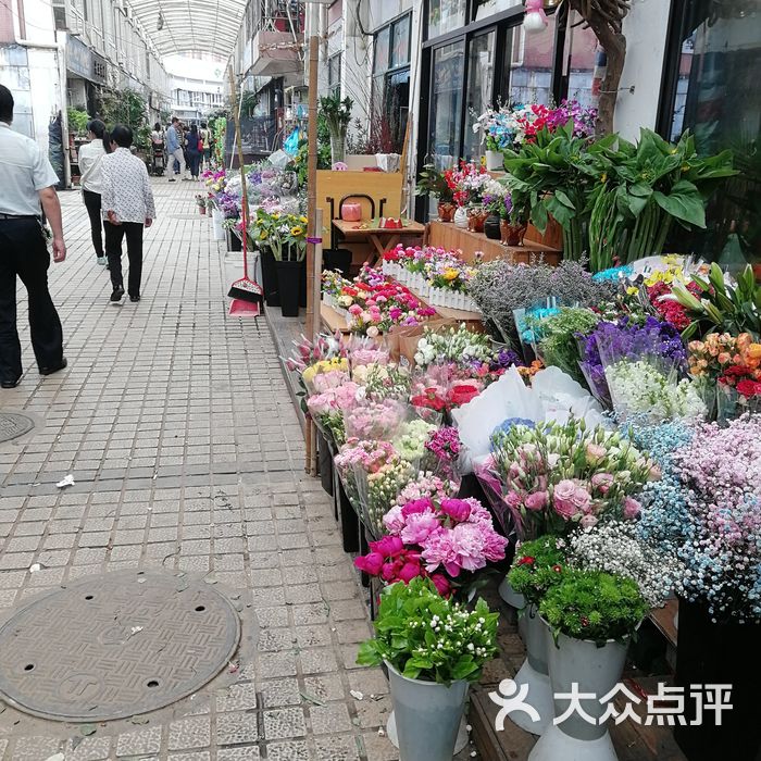 岚灵花鸟市场