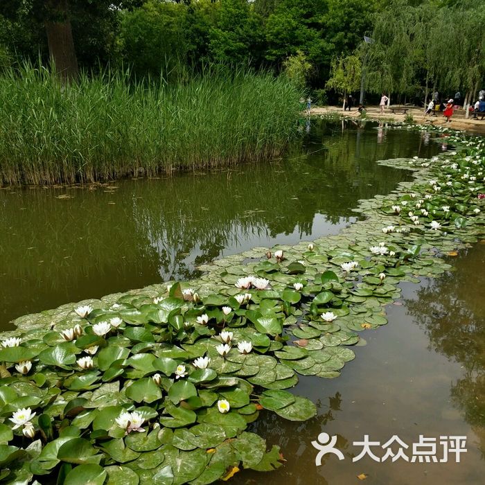 兰州市植物园