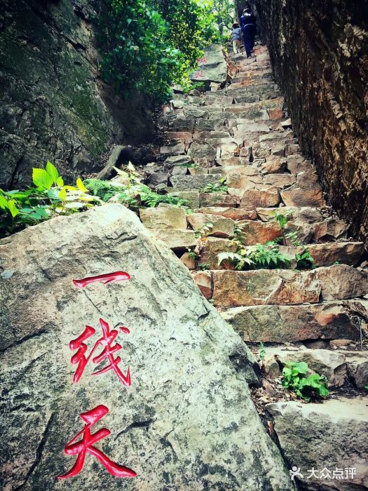 九山顶自然风景区图片 第1280张