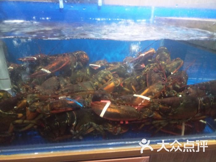 出海水产海鲜酒店(奥体中心店)波士顿龙虾图片 - 第2张