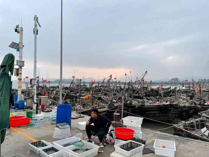 任家台海鲜市场"螃蟹带鱼和贝壳是市场里买的,土豆丝豆腐和.