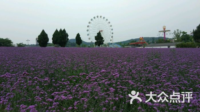 原香国际香草园-图片-绵阳景点/周边游-大众点评网