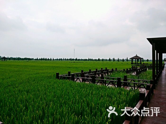 乡根东林渡图片 - 第9张