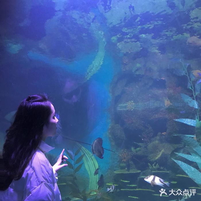 金博海洋馆-图片-温州学习培训-大众点评网