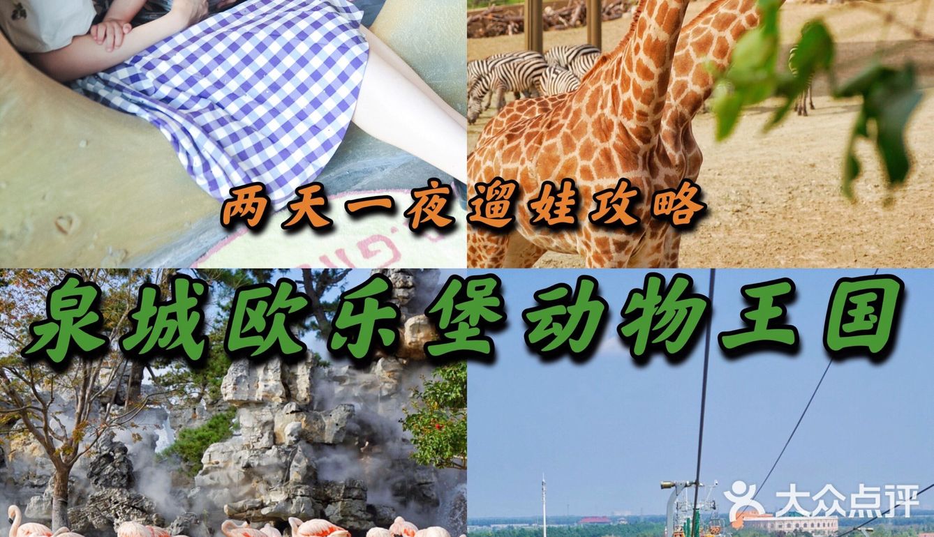 欧乐堡动物王国两天一夜遛娃攻略
