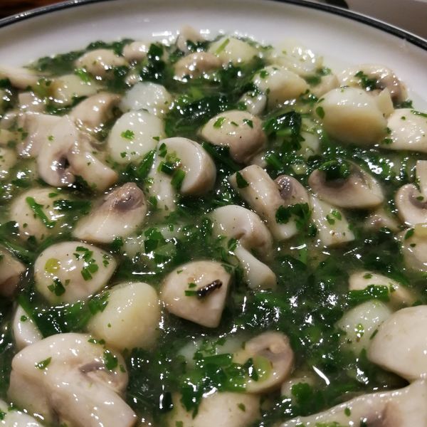 荠菜蘑菇仙贝