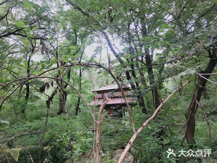 大青沟风景区图片