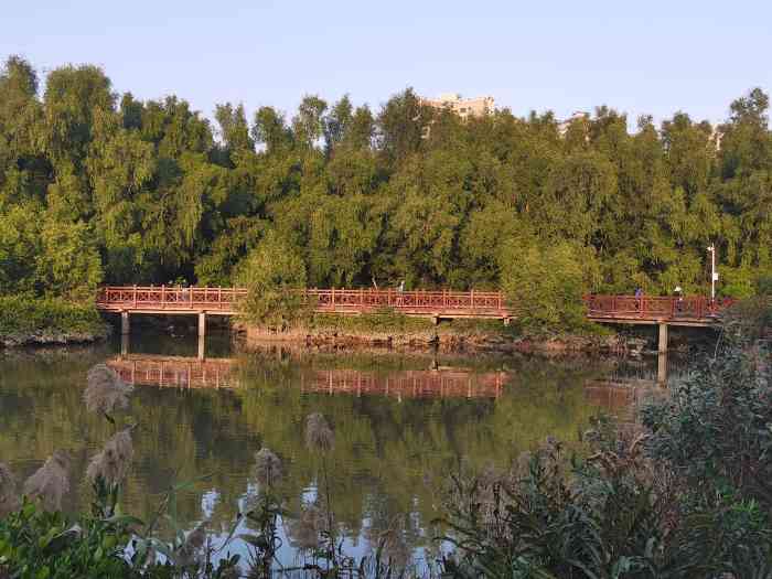 大亚湾红树林城市湿地公园