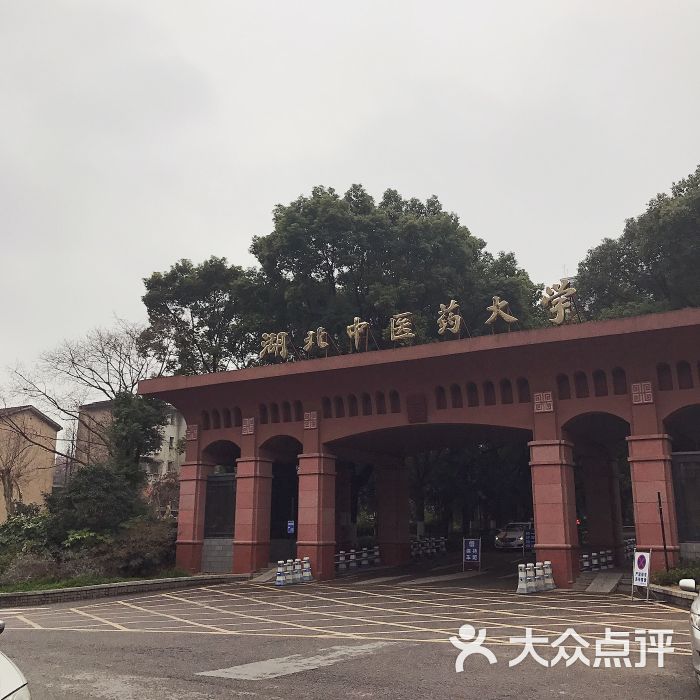 湖北中医药大学(昙华林校区)图片 - 第21张