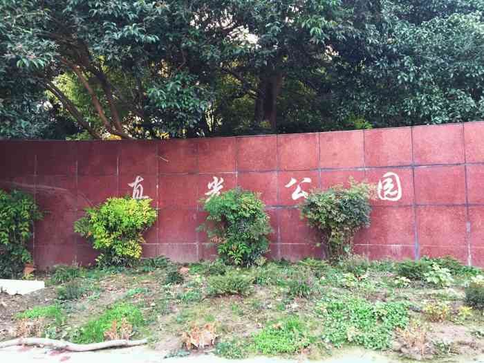 真光公园-"= = 学生时代的记忆深刻 从翘翘板上."-大众点评移动版