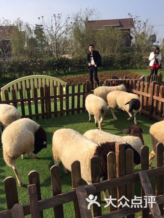 泰迪农场-图片-苏州休闲娱乐-大众点评网