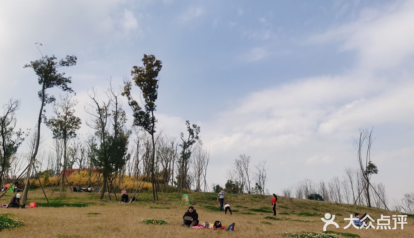 成都白鹭湾湿地公园游玩攻略