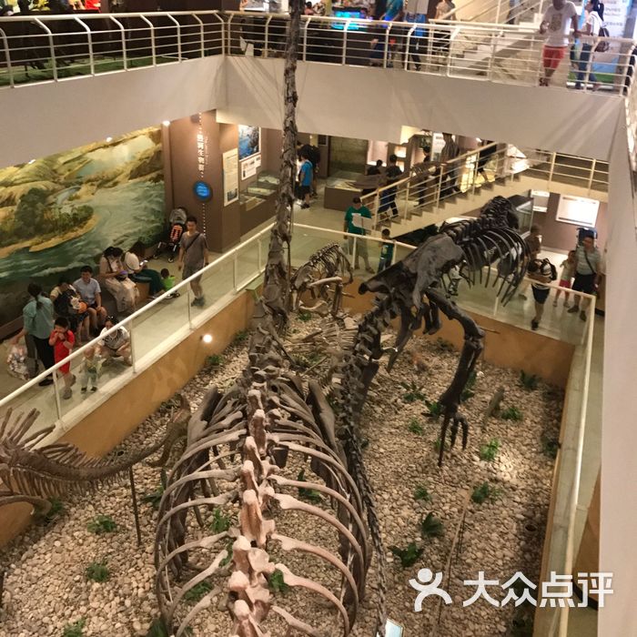 中国古动物馆