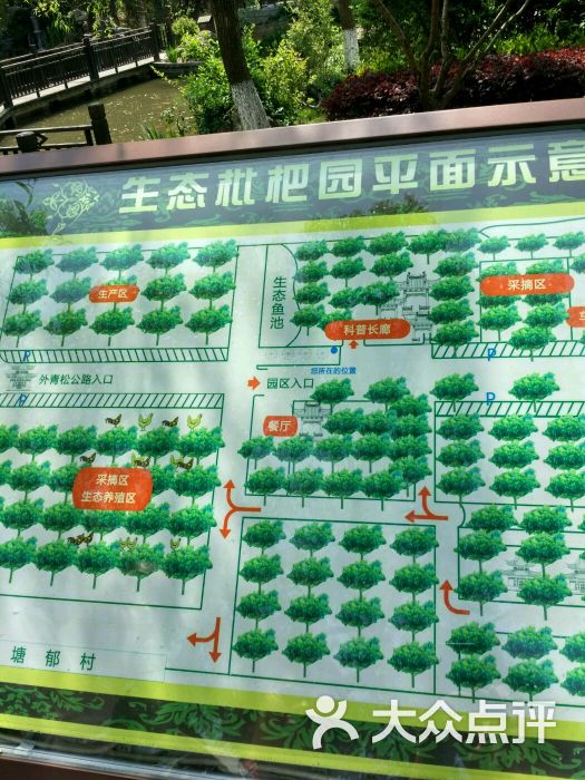 联怡枇杷生态园图片 - 第1张