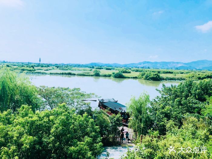 下渚湖湿地图片