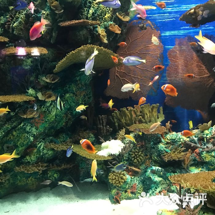 上海海洋水族馆